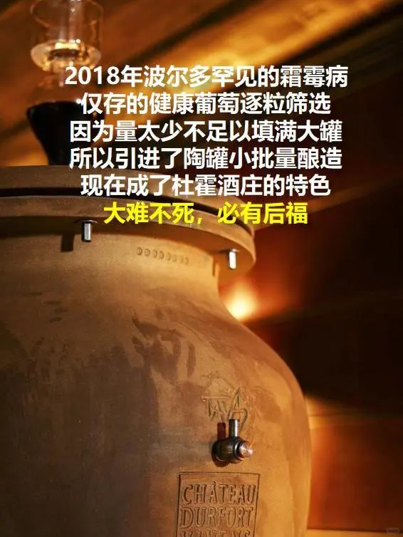 夏日必备?杜维干白葡萄酒