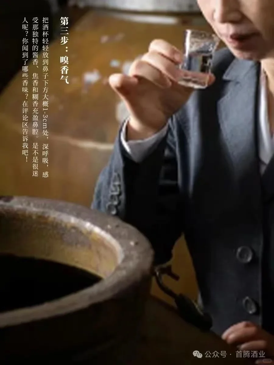 品酒六步法