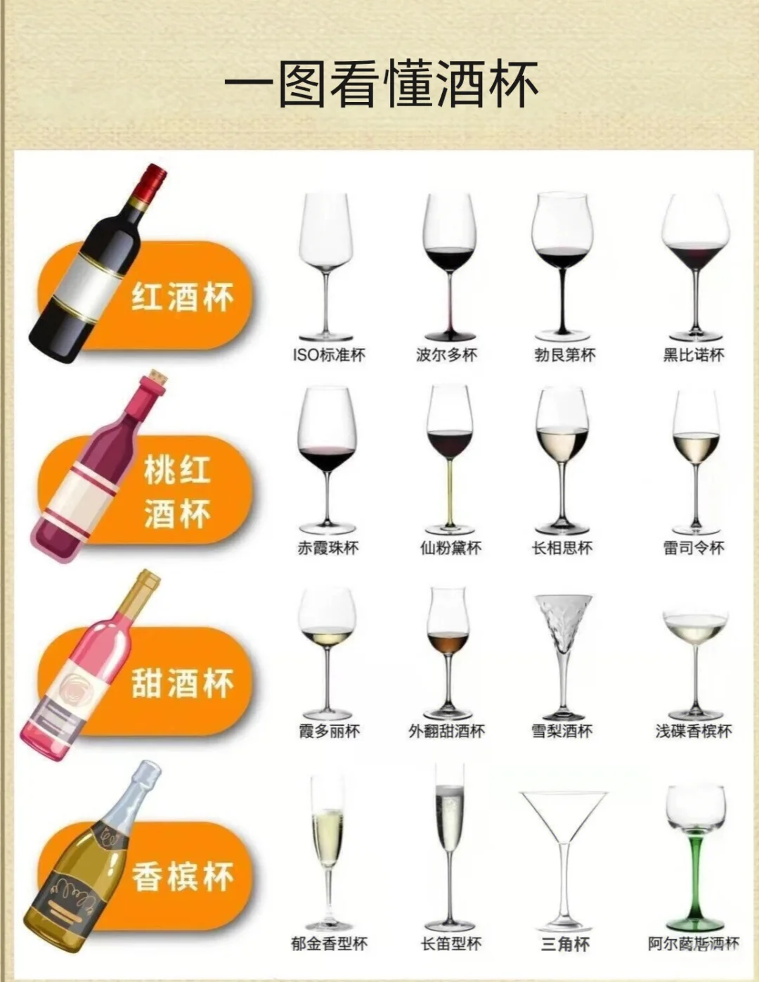 ✨ 女生必看！3分钟搞懂葡萄酒、选酒品酒