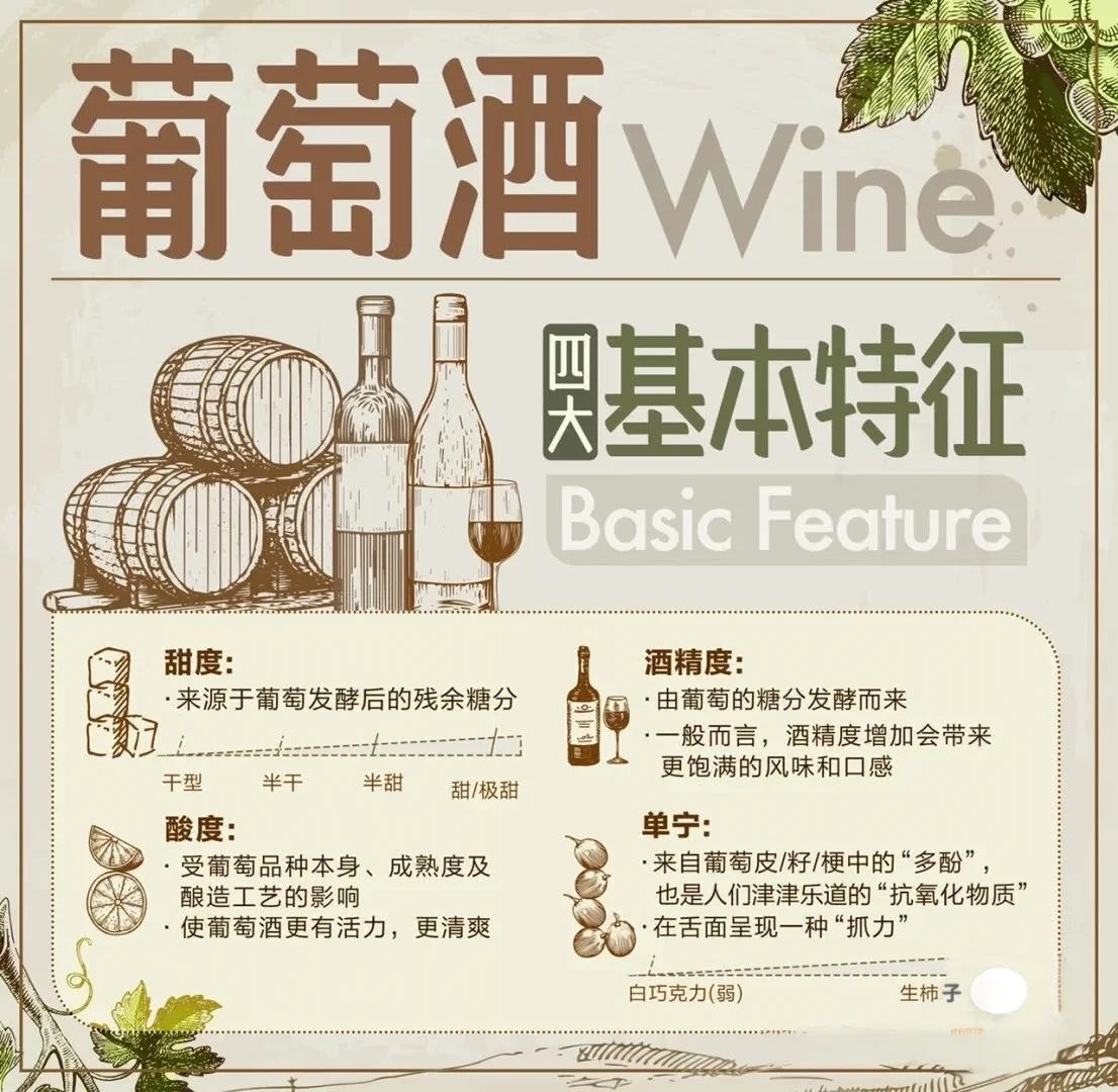 ✨ 女生必看！3分钟搞懂葡萄酒、选酒品酒