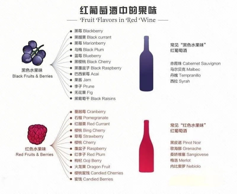 ✨ 女生必看！3分钟搞懂葡萄酒、选酒品酒