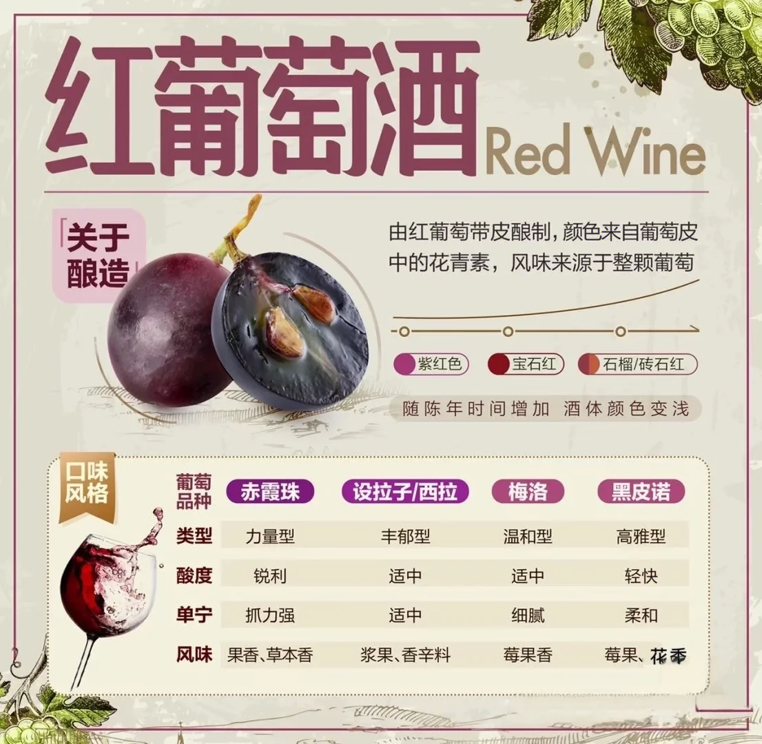 ✨ 女生必看！3分钟搞懂葡萄酒、选酒品酒