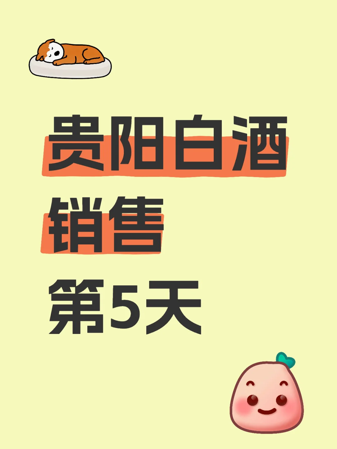 贵阳白酒销售 第5天