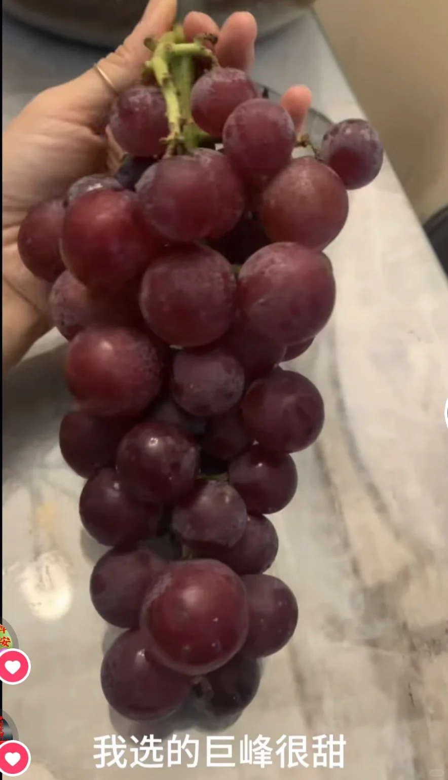 葡萄酒的前世今生