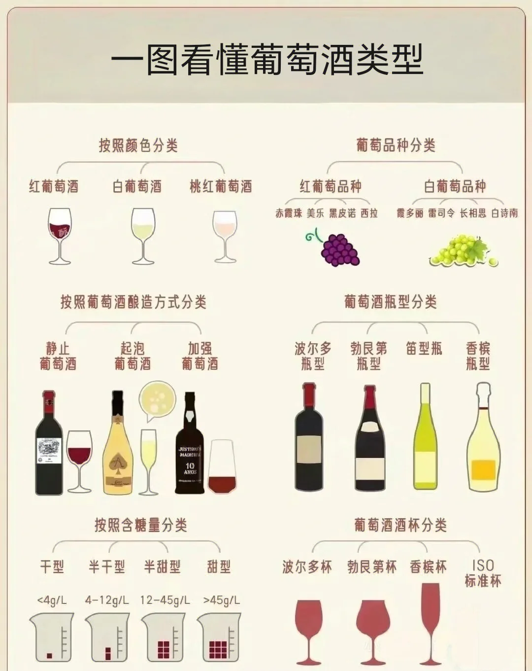 ✨ 女生必看！3分钟搞懂葡萄酒、选酒品酒