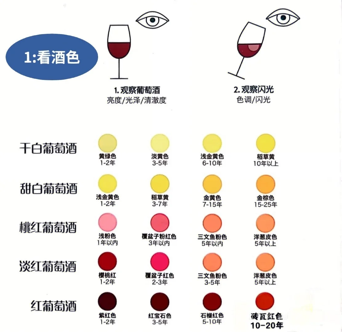 ✨ 女生必看！3分钟搞懂葡萄酒、选酒品酒
