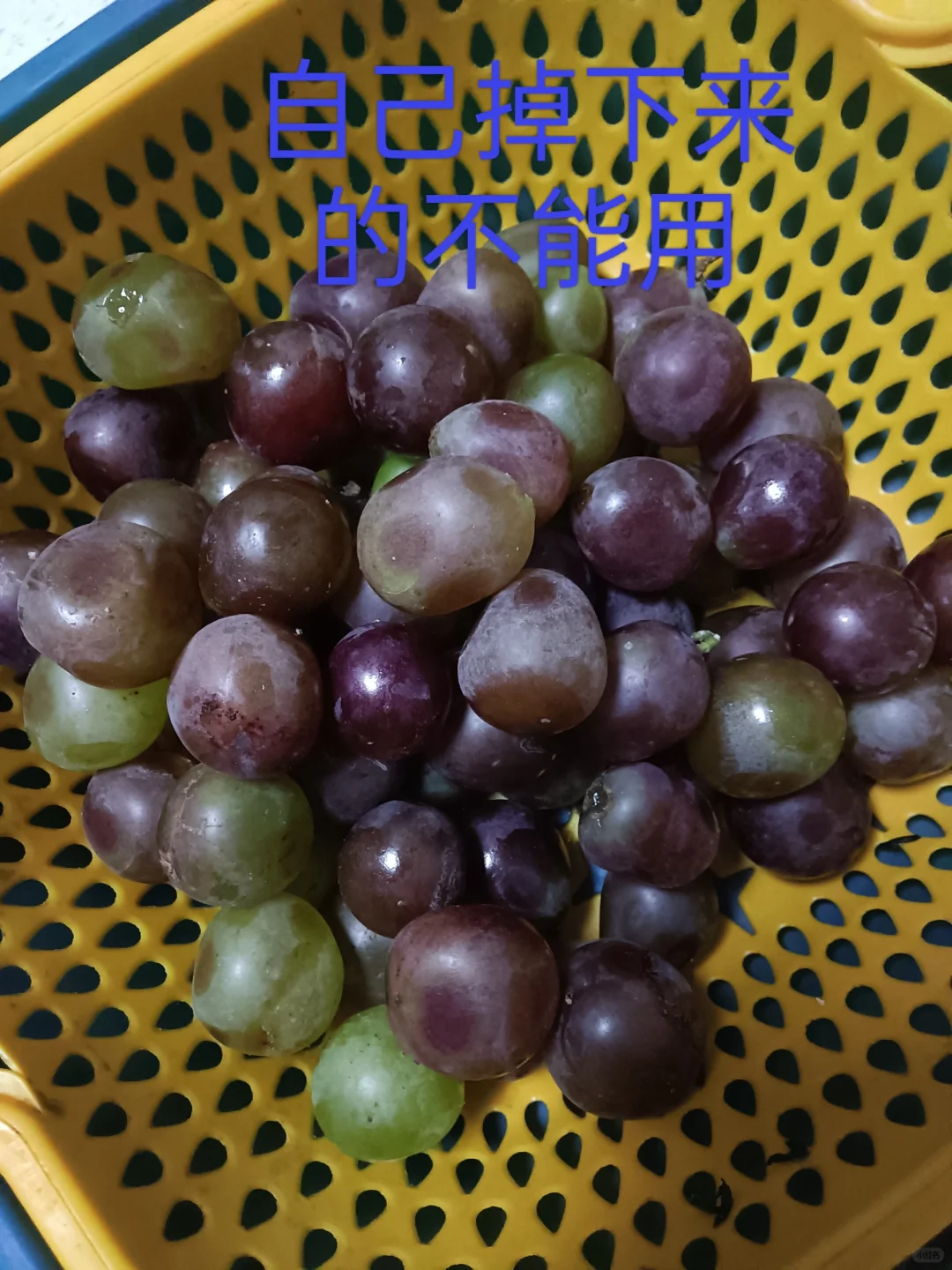 自己做葡萄酒