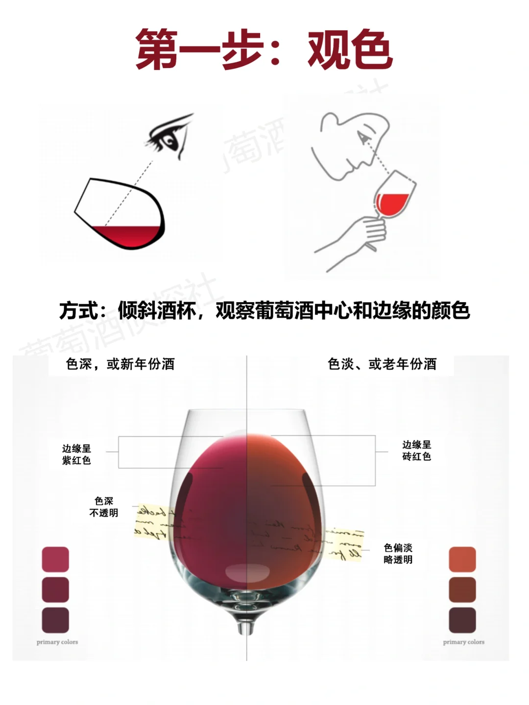 1分钟秒变品酒达人，不服的进来……