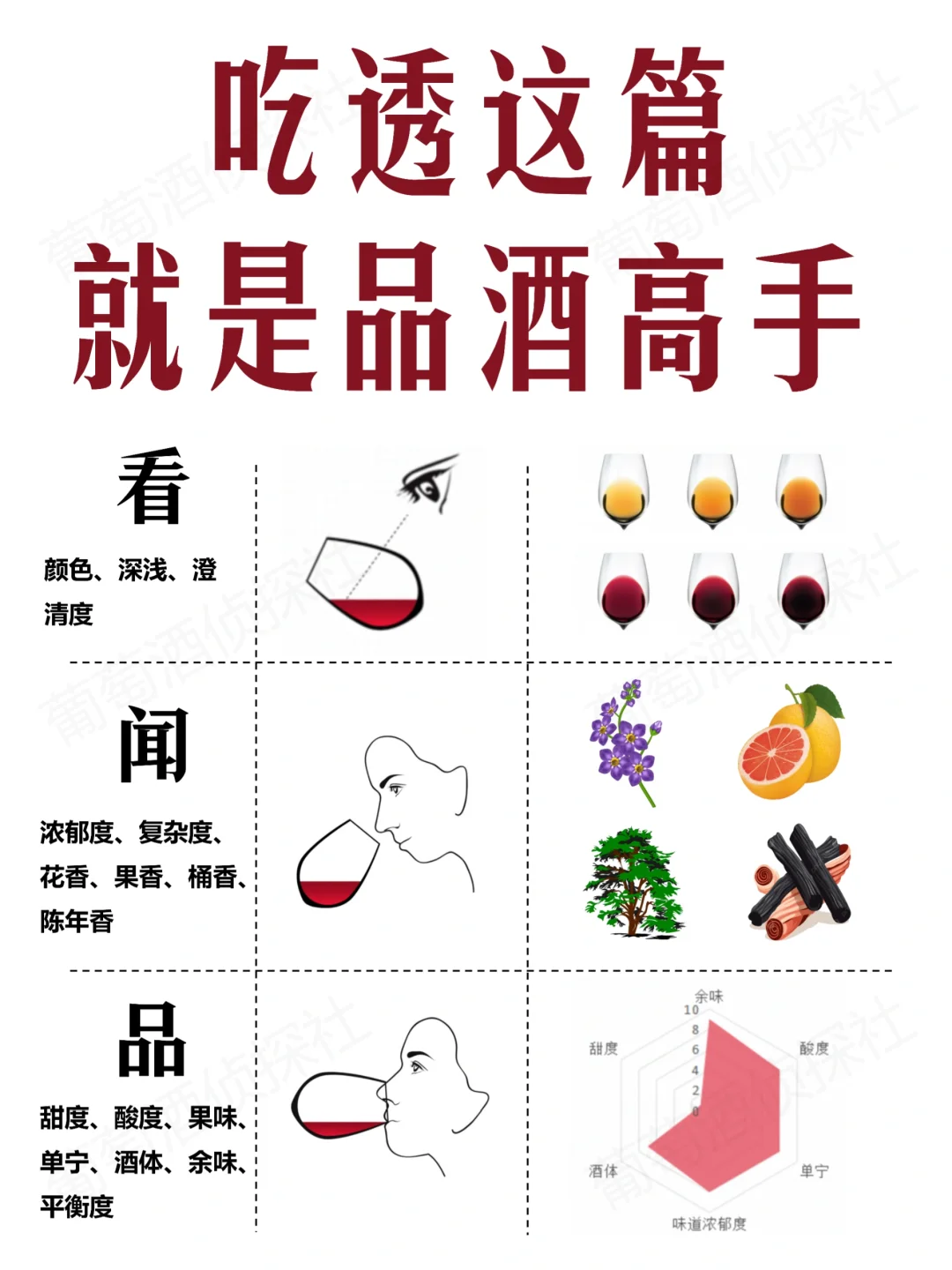 1分钟秒变品酒达人，不服的进来……