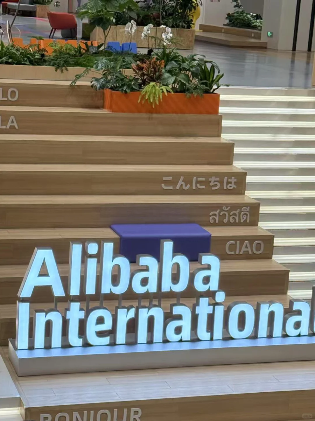猛男破圈实录|零经验转行互联网大厂