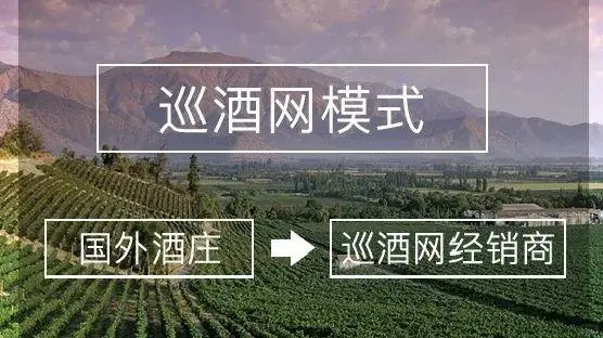 巡酒网创新平台，立足葡萄酒行业先锋