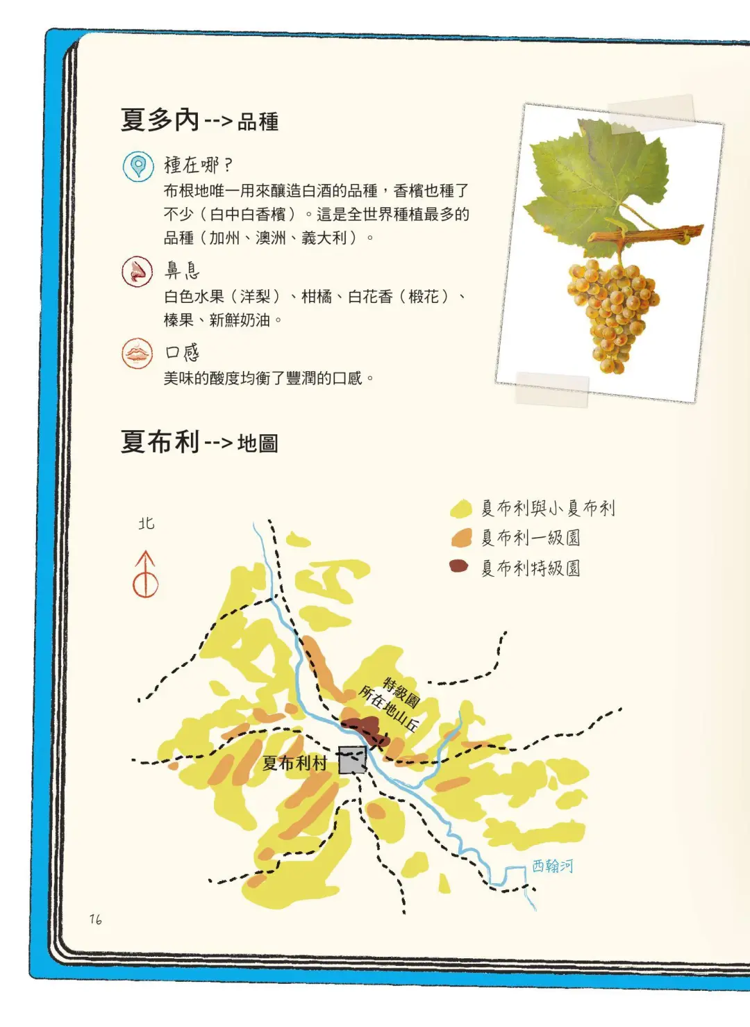 漫画葡萄酒(一)