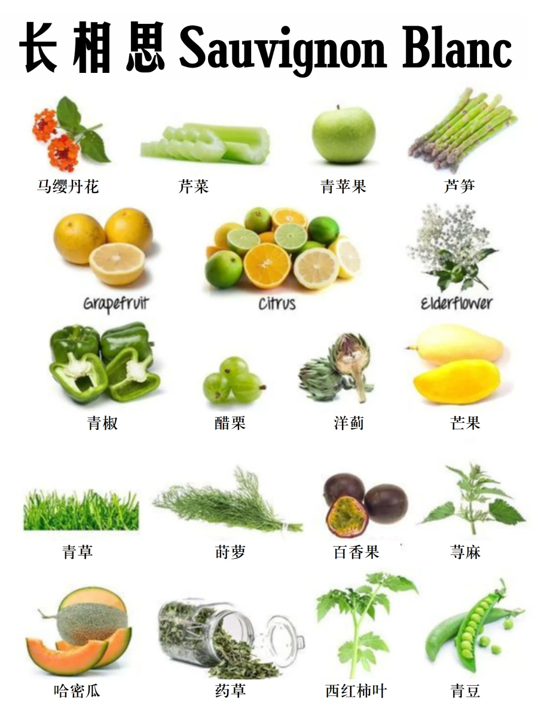 【收藏】葡萄酒香气大合集，没见过这么全的