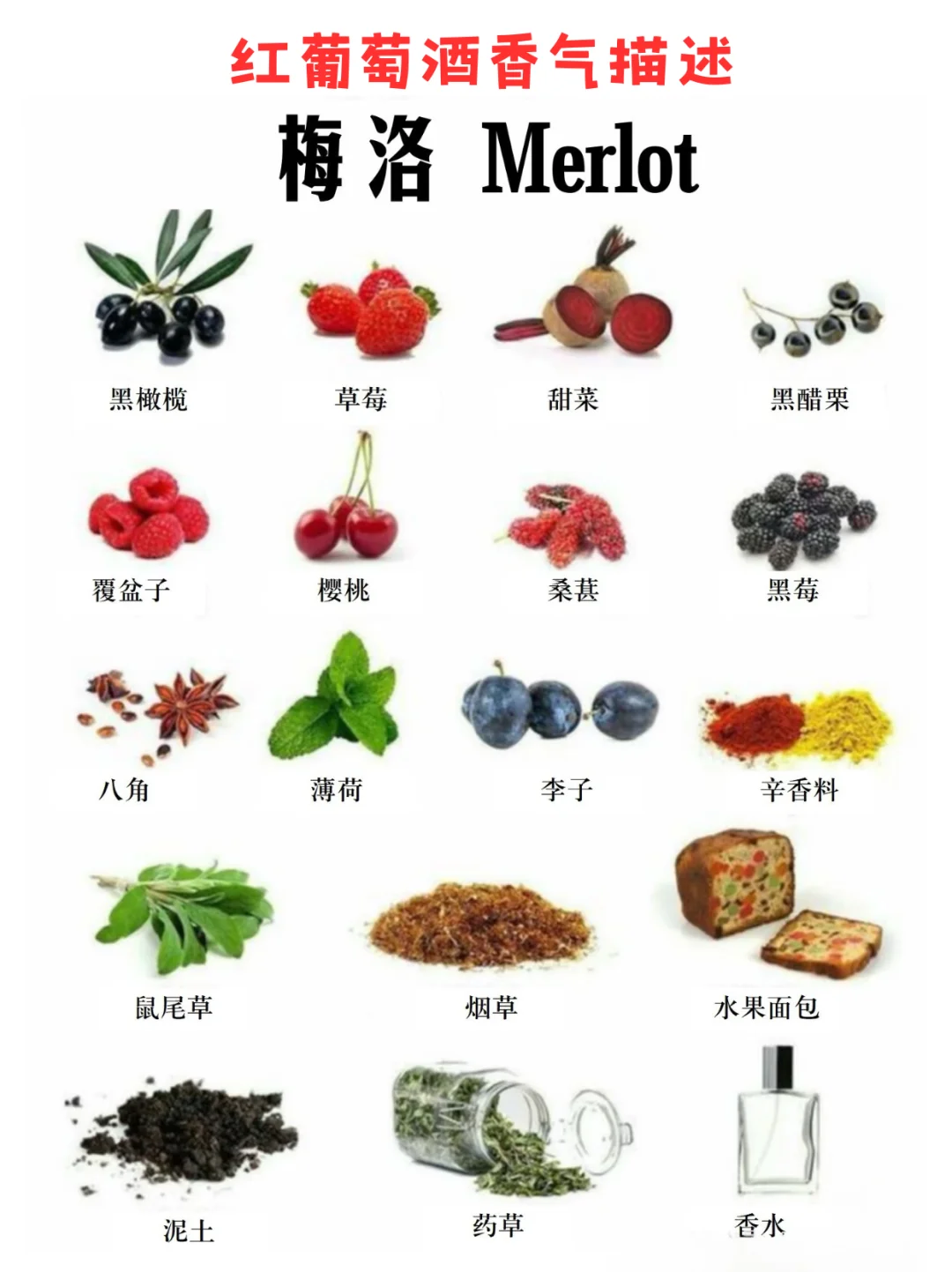 ?红葡萄酒香气指南｜一张图秒懂风味密码✨