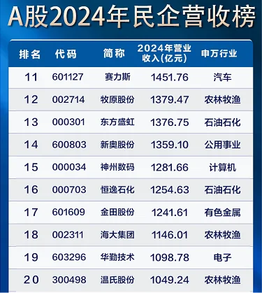 寻找中国伟大公司之【千亿民企】