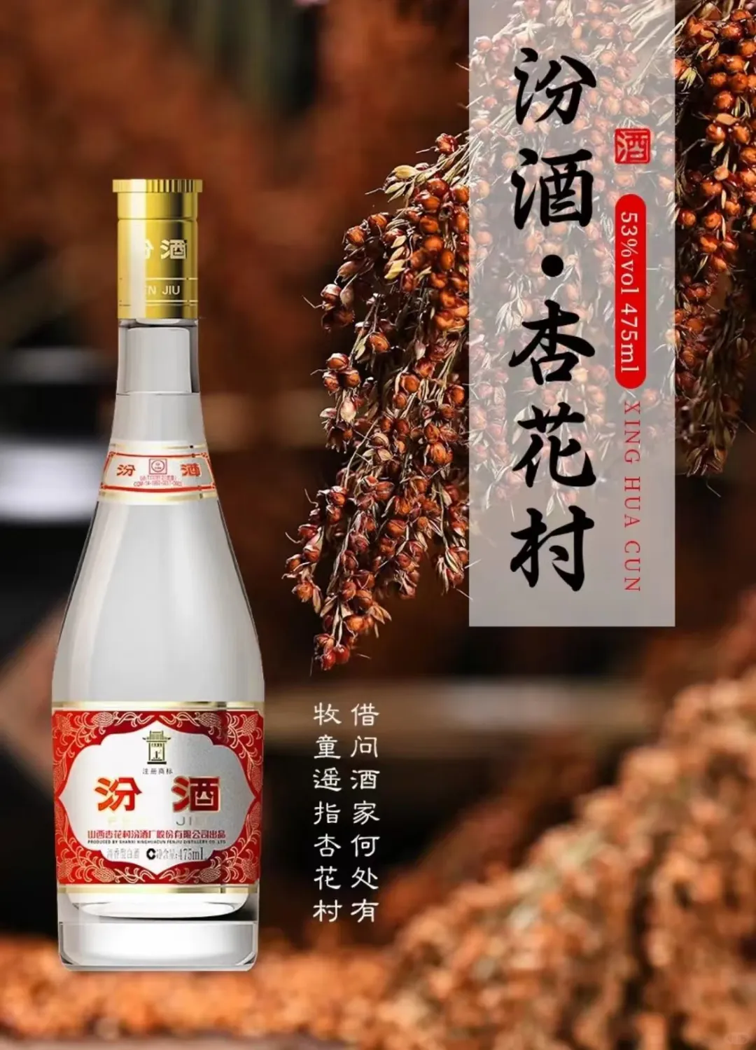 一看就懂的白酒系列来了！