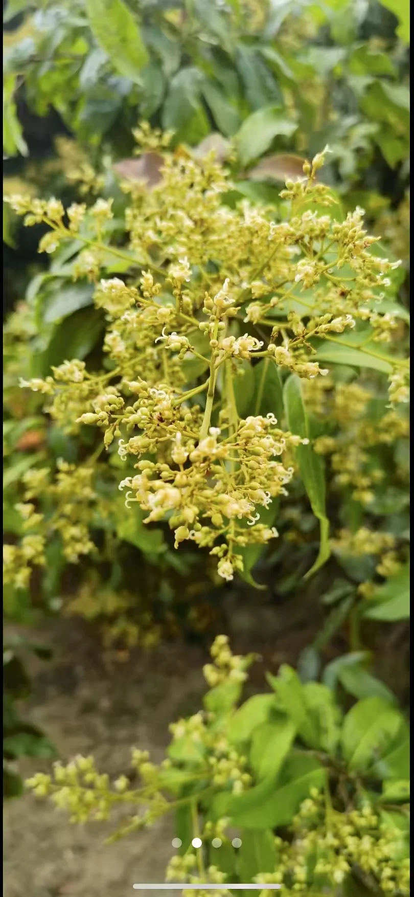 00后做烟酒茶这个行业能赚到钱吗
