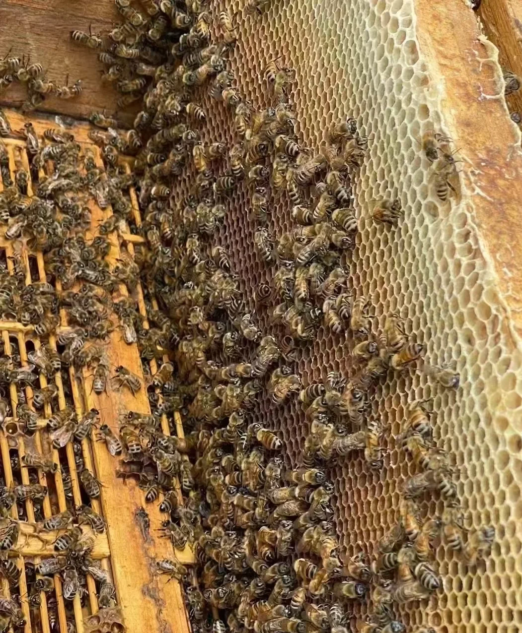 00后做烟酒茶这个行业能赚到钱吗