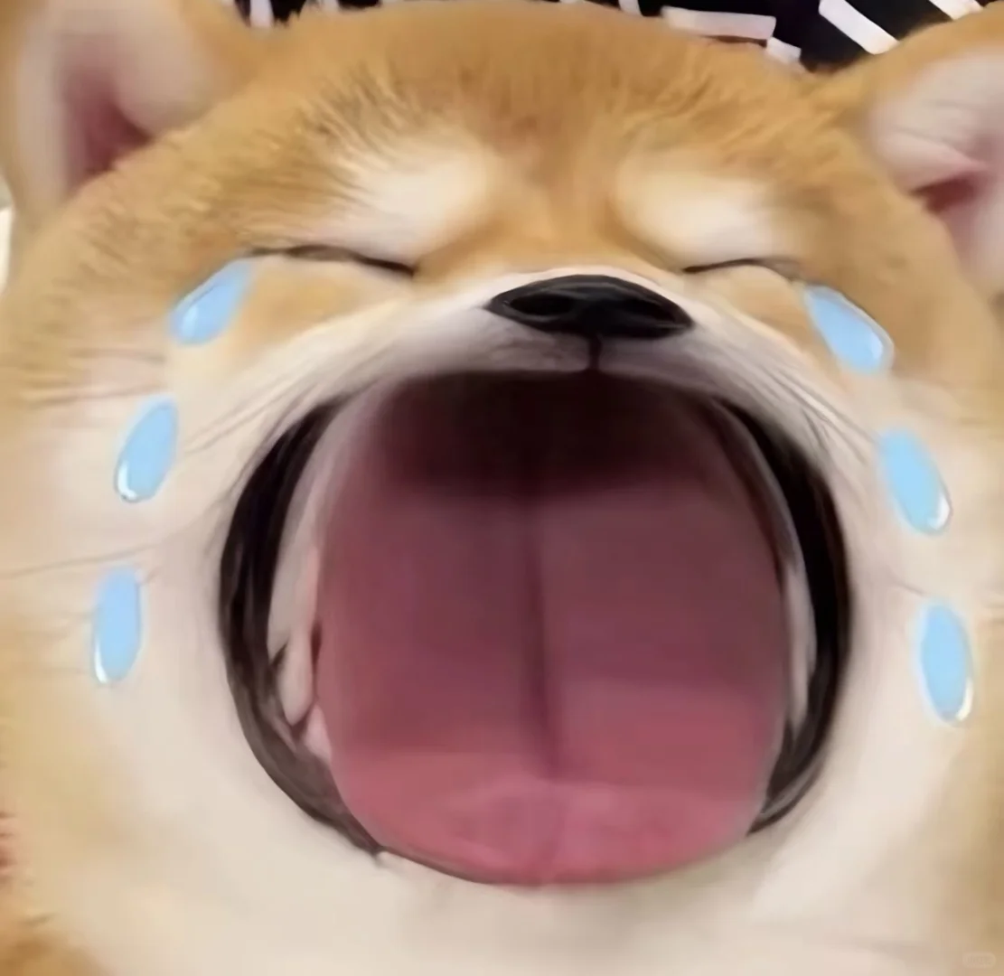 寻找主理人