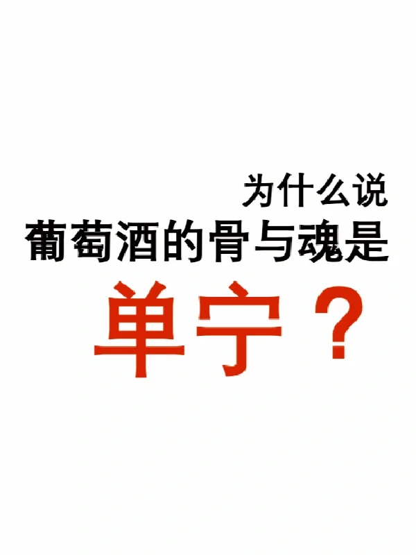 一分钟带你弄明白葡萄酒里的单宁