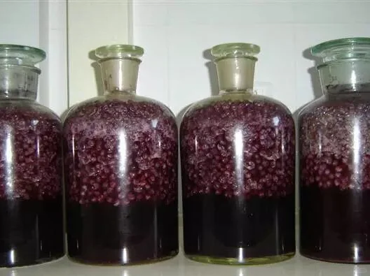 美容养颜葡萄酒！自制葡萄酒，做法简单，材料简便！
