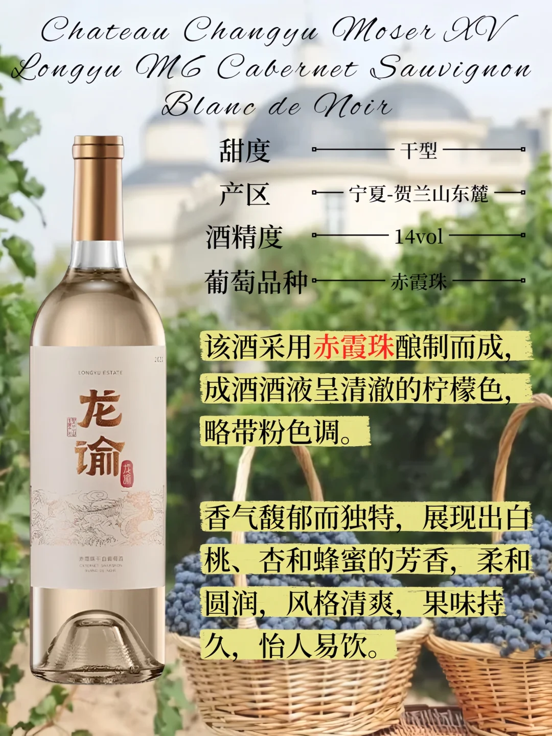 葡萄酒生存日历：职场人每日5分钟品鉴课