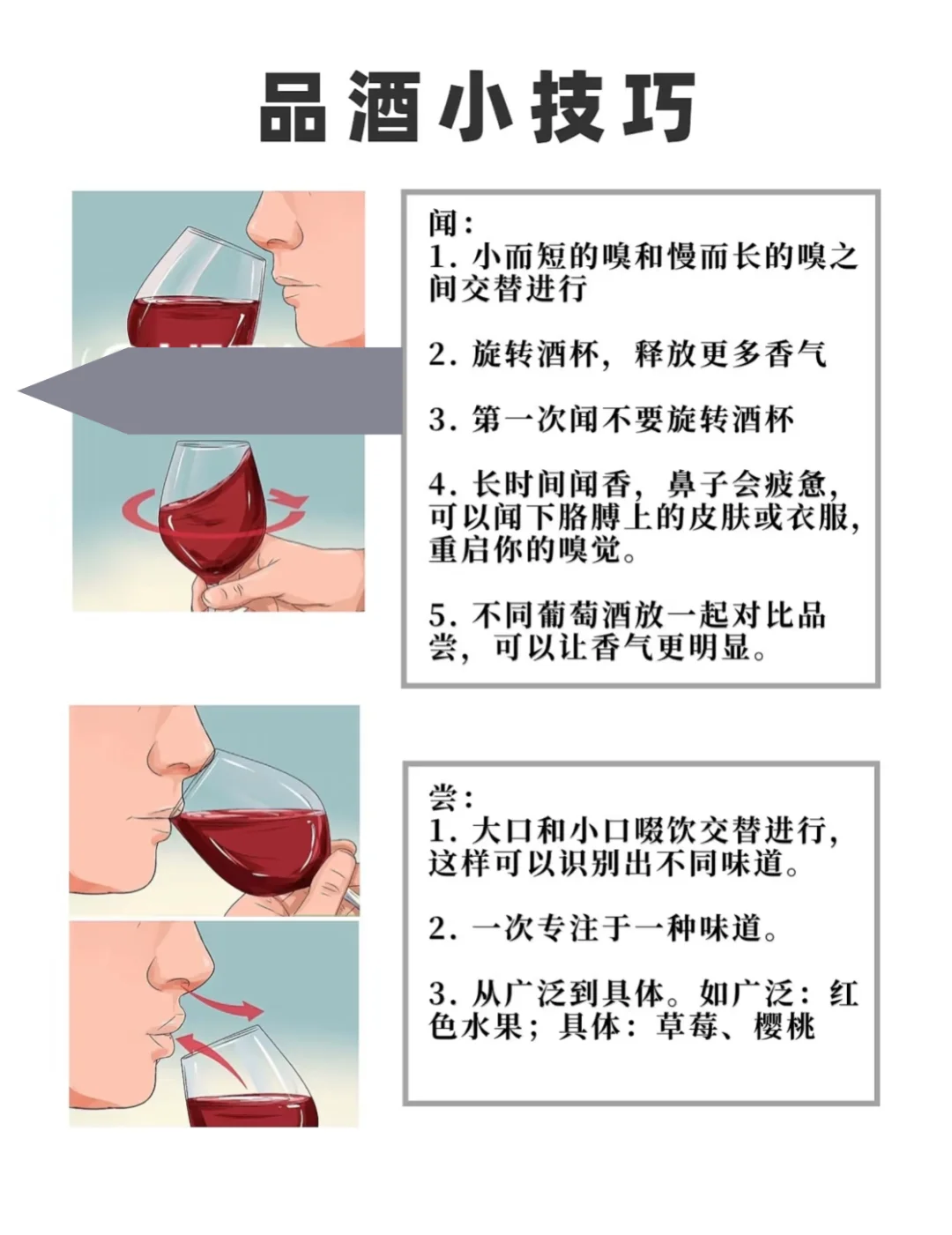 品酒小白必看！品酒四步曲，小白也能秒变行家