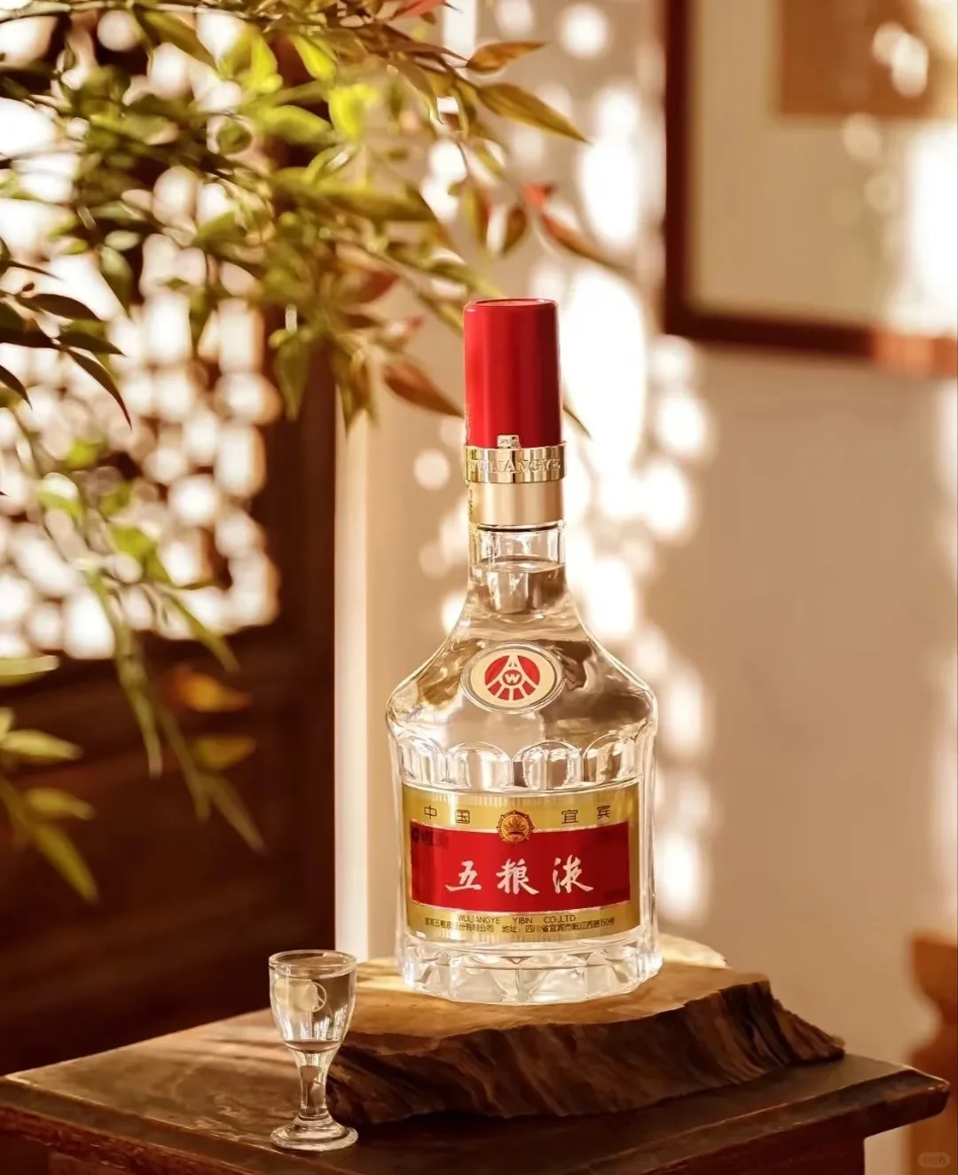 茅台为什么比五粮液好喝？