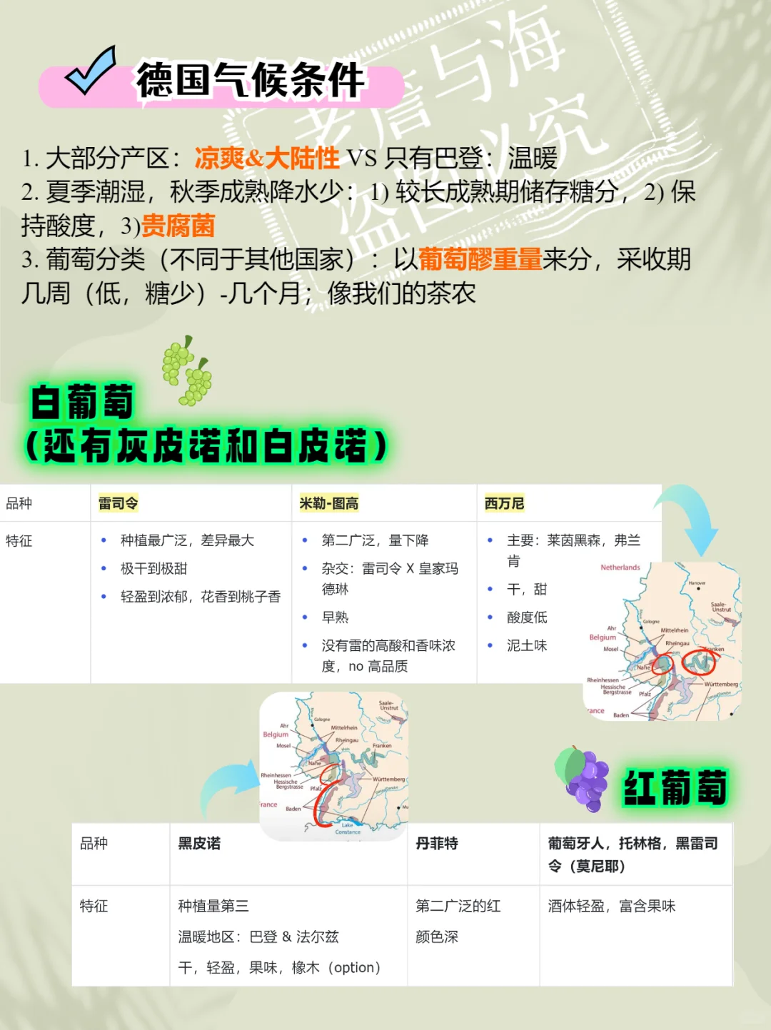 ⚽?建议收藏 ❗德国葡萄酒WSET3考点大汇总！