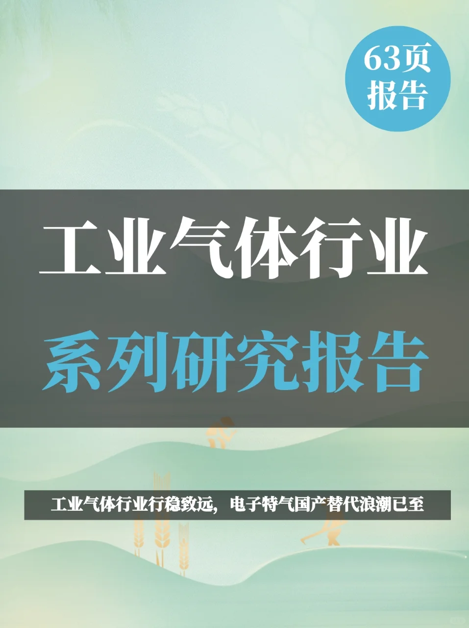 工业气体行业系列报告