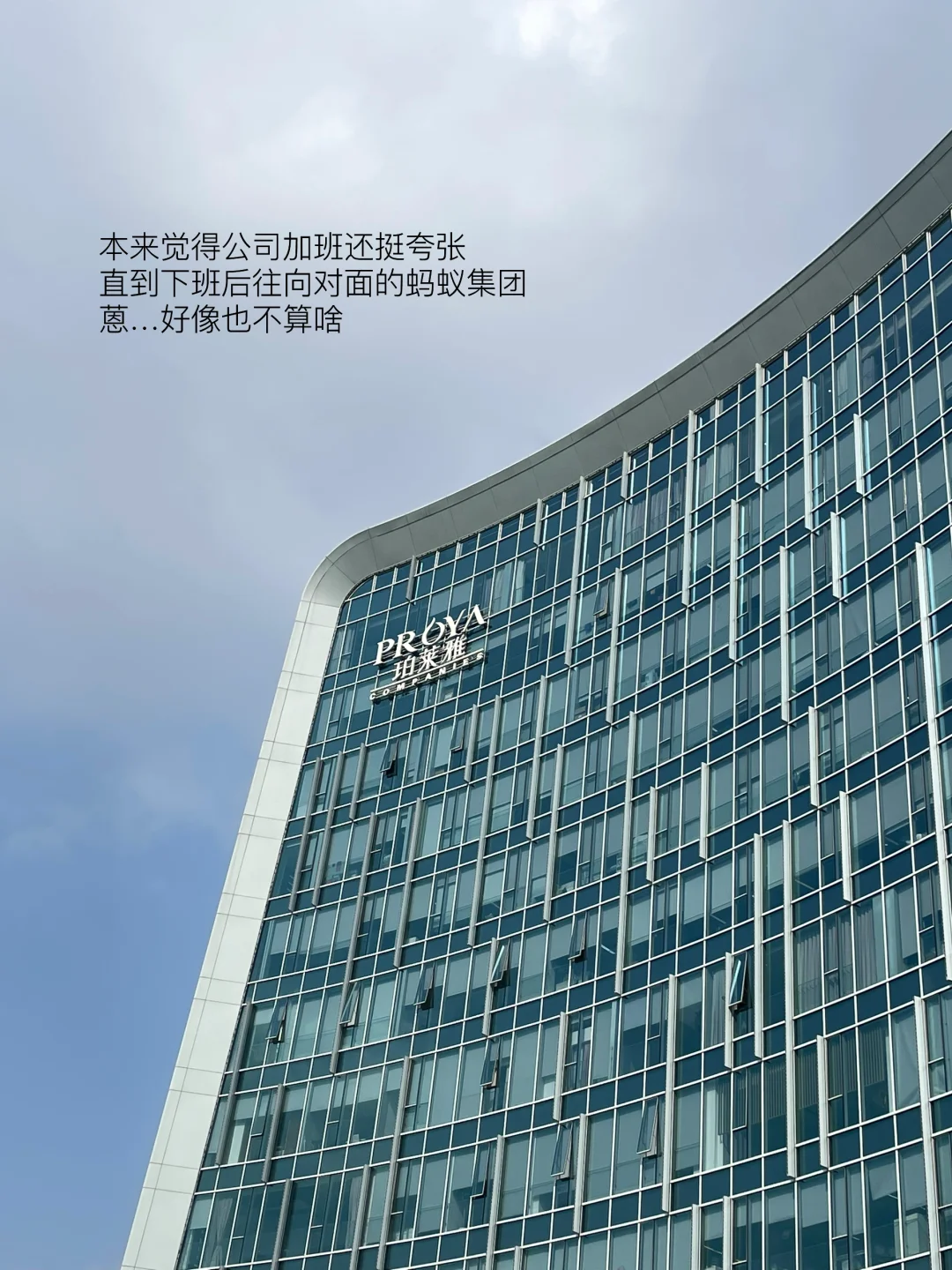 风景园林跑路美妆大厂｜四个月真实体验分享