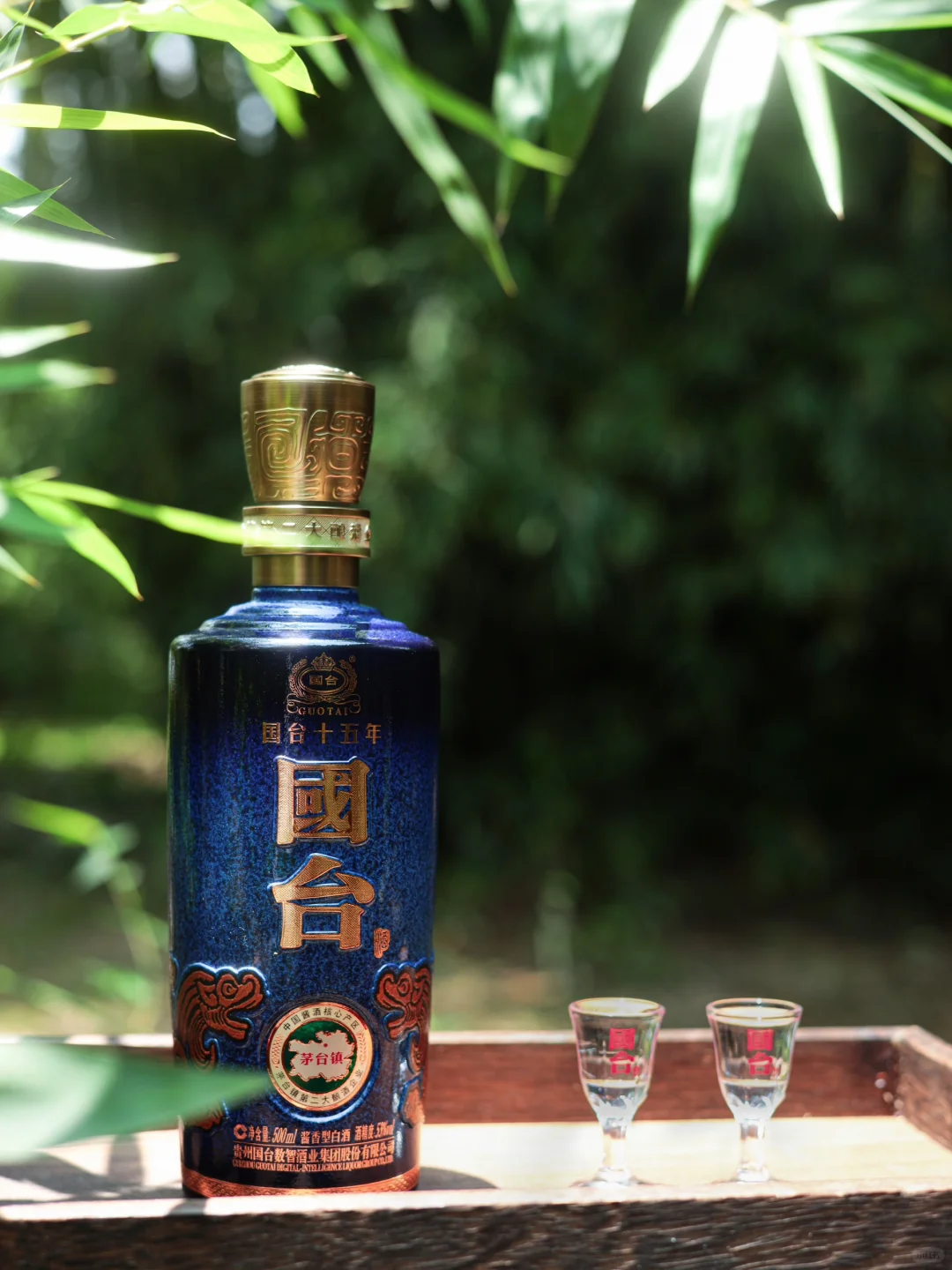 竹影映夏｜与国台奔赴一场夏野 ?