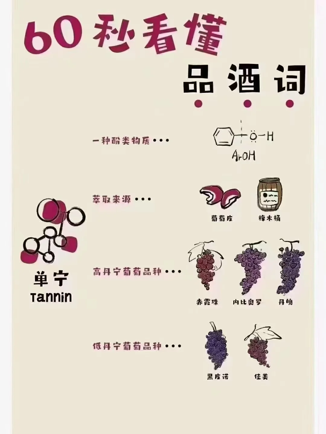 ?一分钟了解葡萄酒