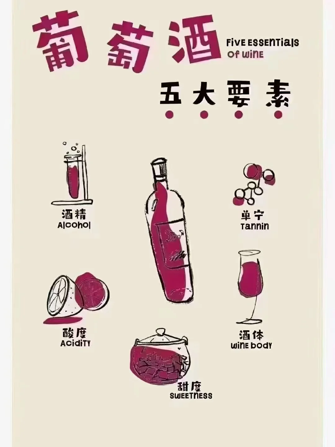 ?一分钟了解葡萄酒