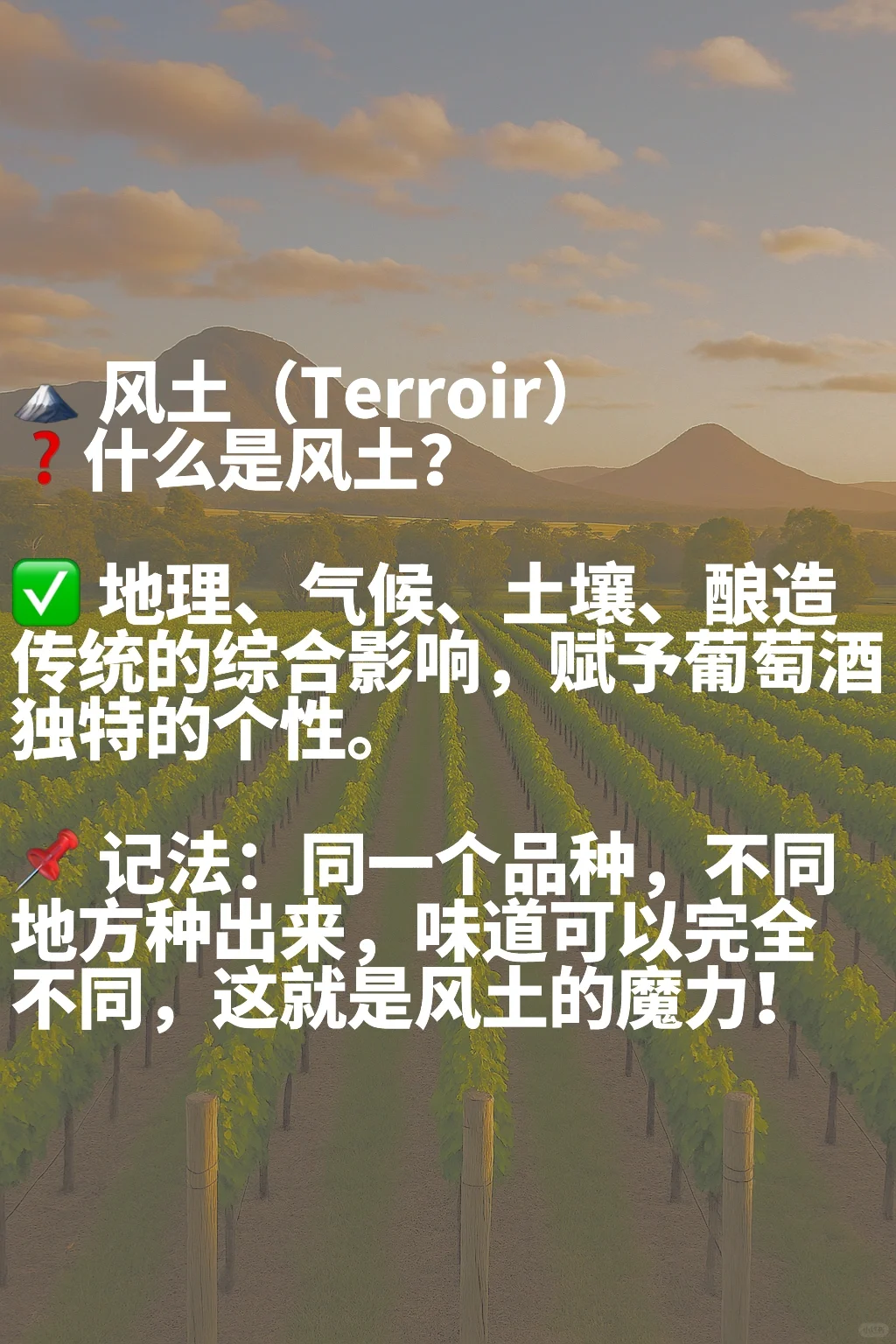 快速掌握葡萄酒风格描述！