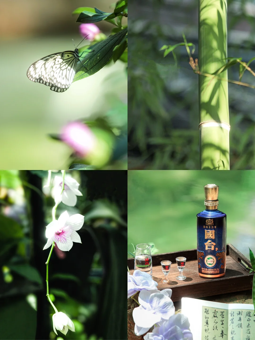 竹影映夏｜与国台奔赴一场夏野 ?