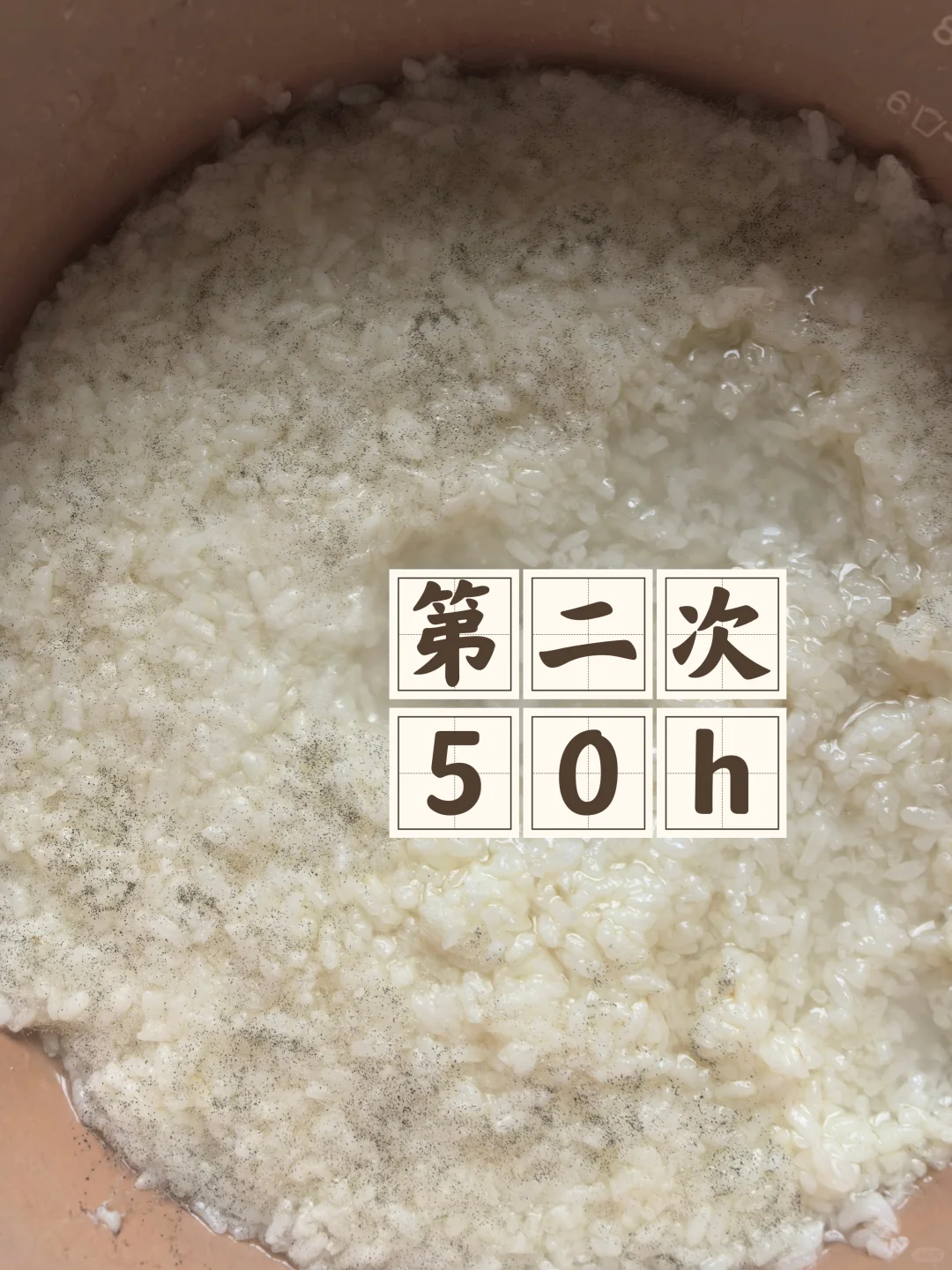 失败的甜白酒(二)
