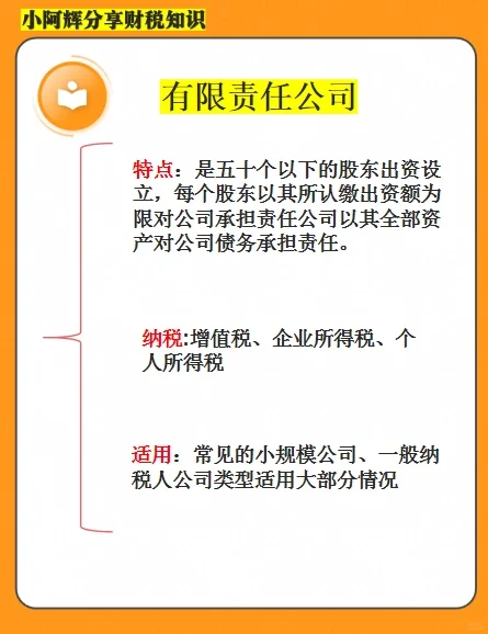 企业的四大类型