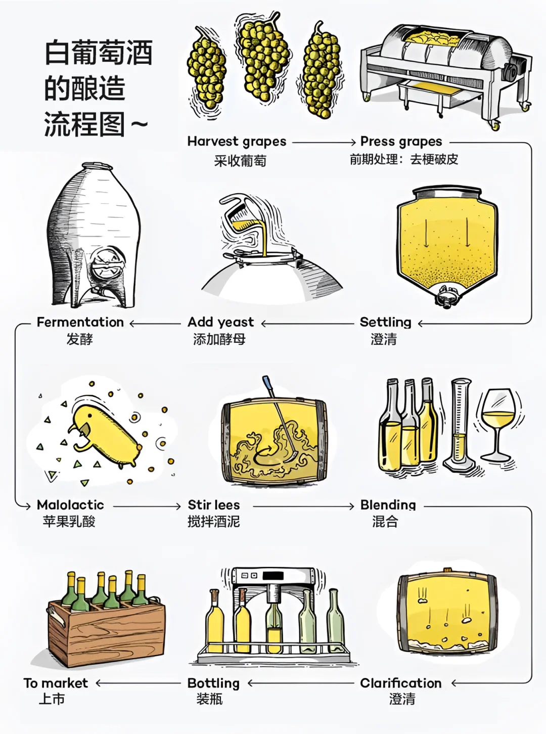 葡萄酒是怎样酿造的？一图搞明白winefolly