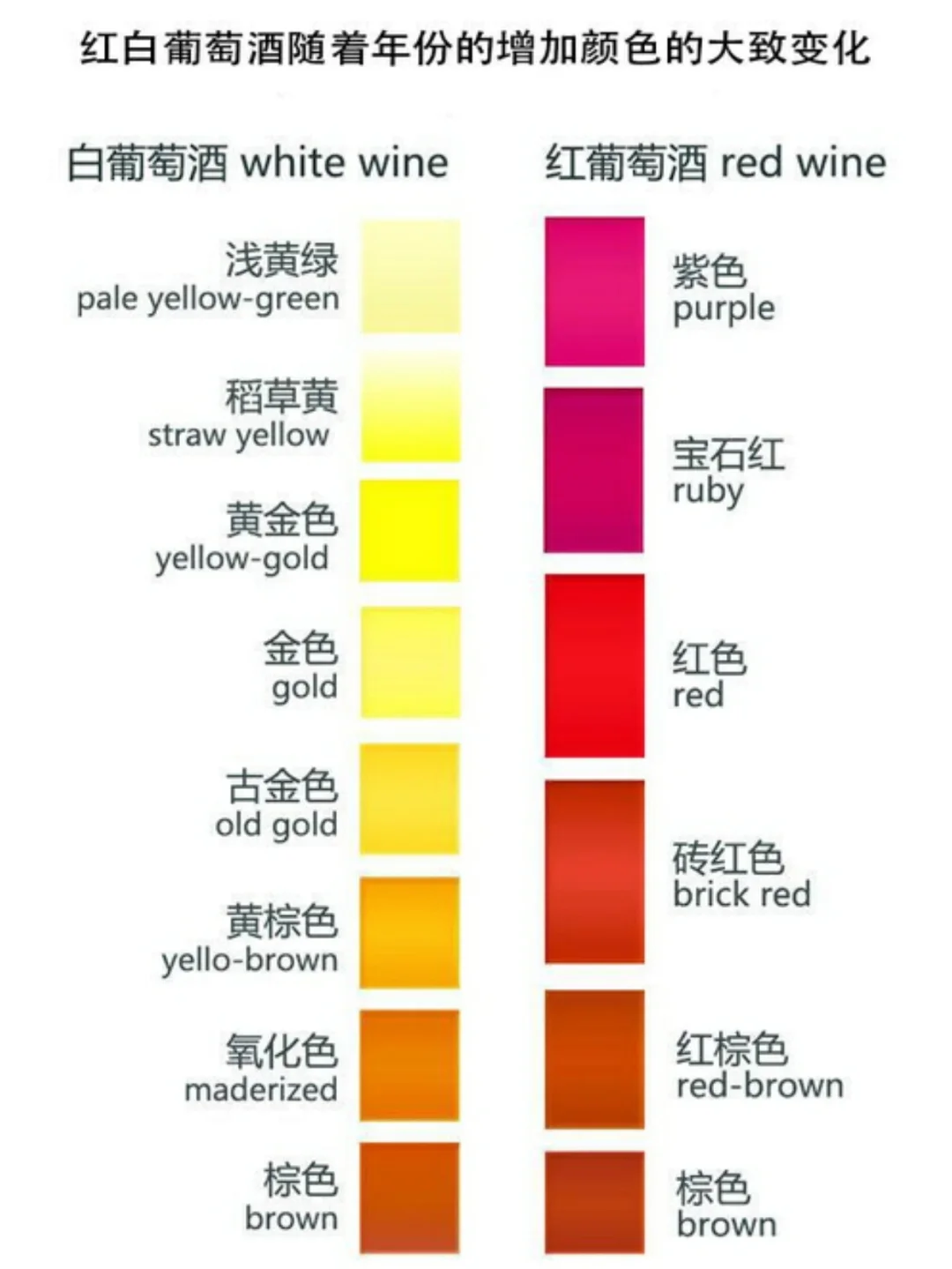 1分钟学会品酒|葡萄酒的颜色代表的意义