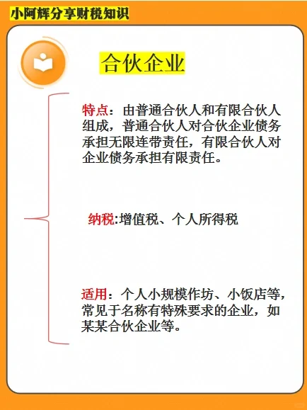 企业的四大类型