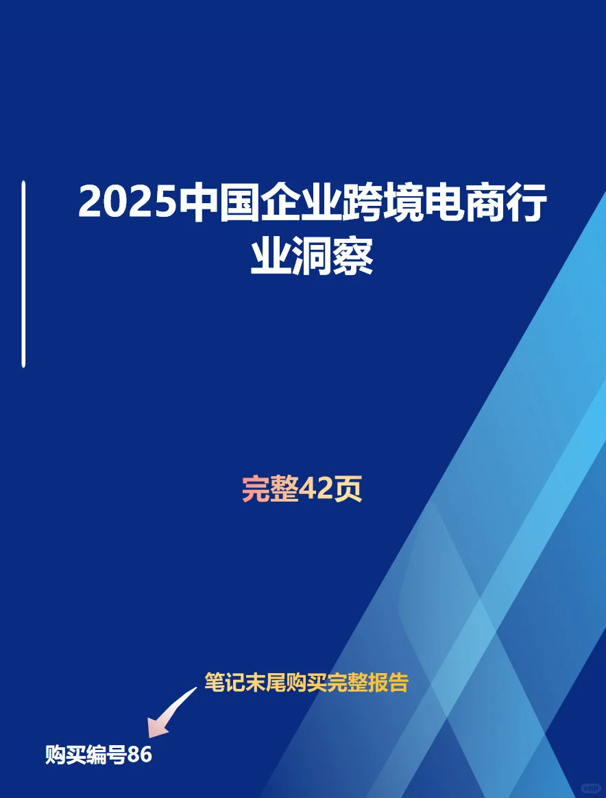2025中国企业跨境电商行业洞察