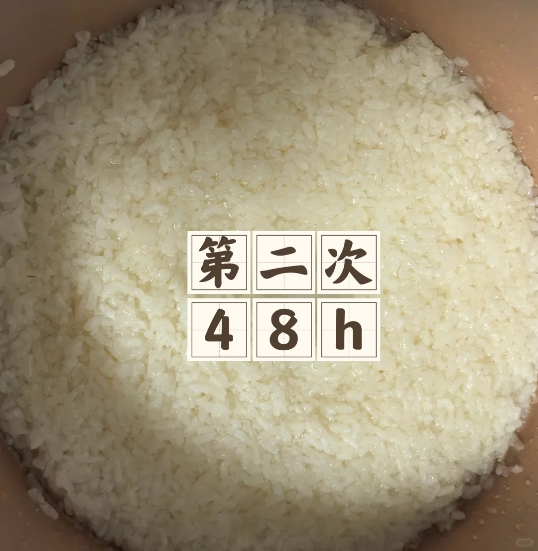 失败的甜白酒(二)