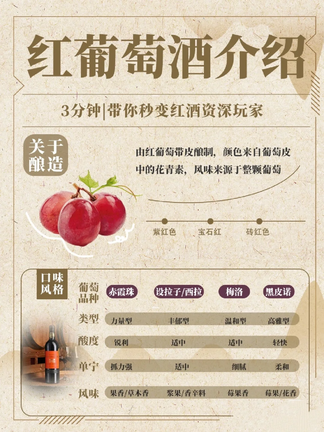 葡萄酒入门 | 一分钟带你变成红酒资深玩家