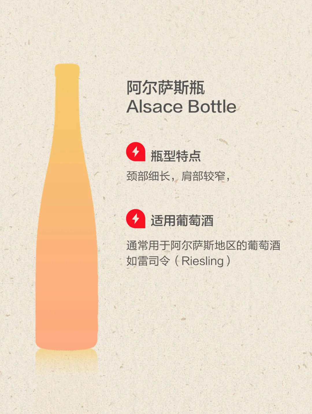 一起来认常见8种瓶型 葡萄酒知识 入门知识