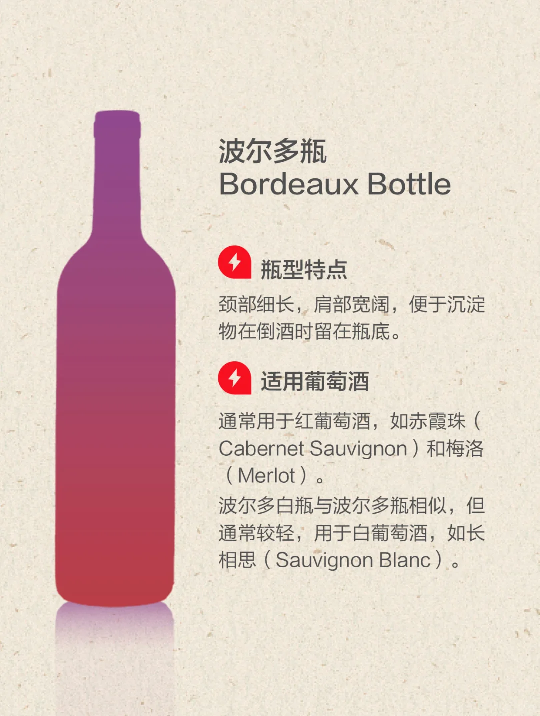 一起来认常见8种瓶型 葡萄酒知识 入门知识
