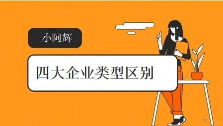 企业的四大类型