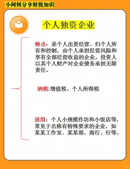 企业的四大类型