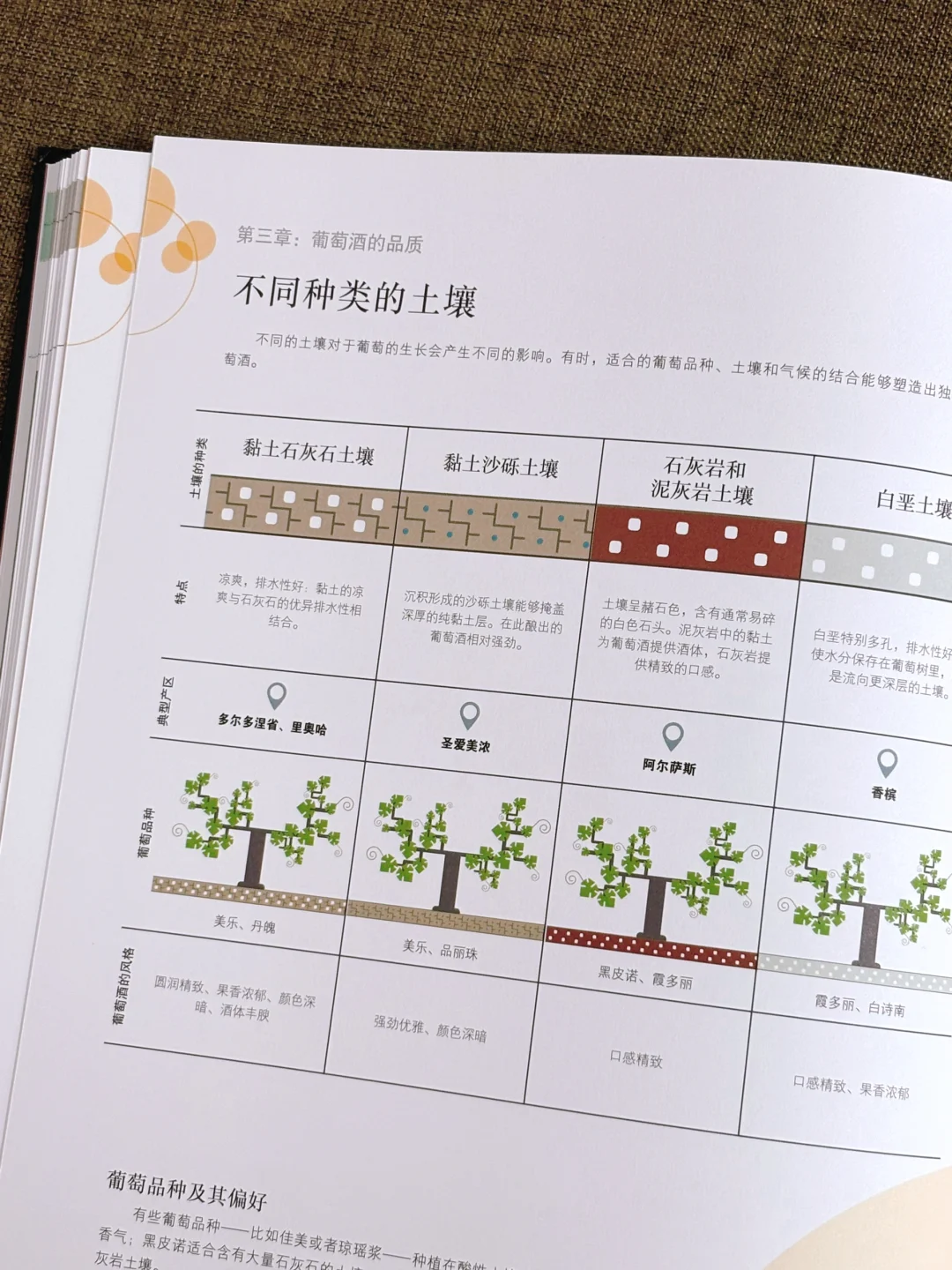 看完这本PPT，你也能成为真正的品酒专家‼️