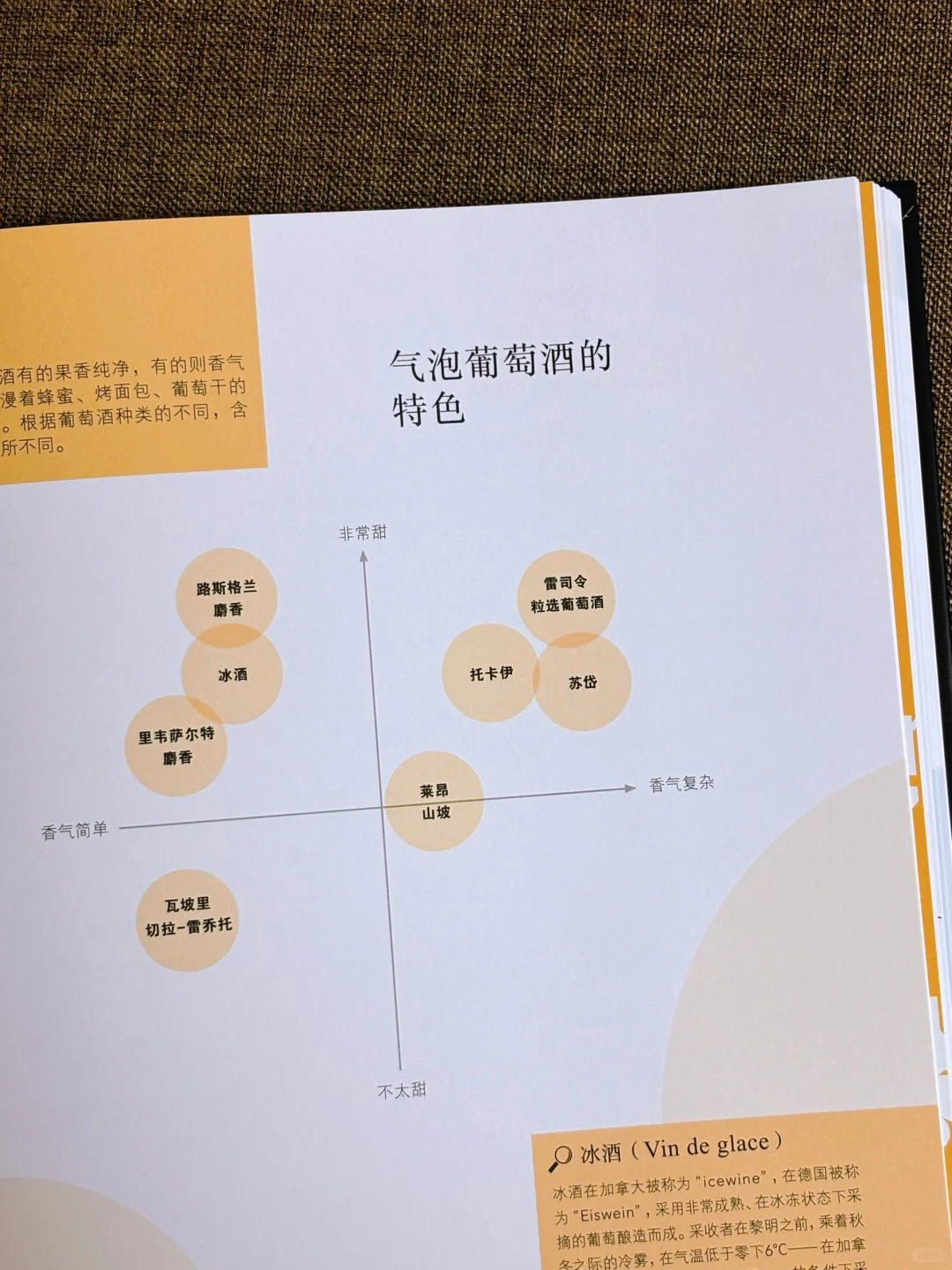 看完这本PPT，你也能成为真正的品酒专家‼️